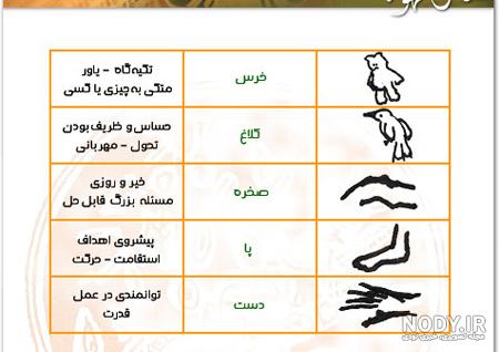 زرافه در فال قهوه