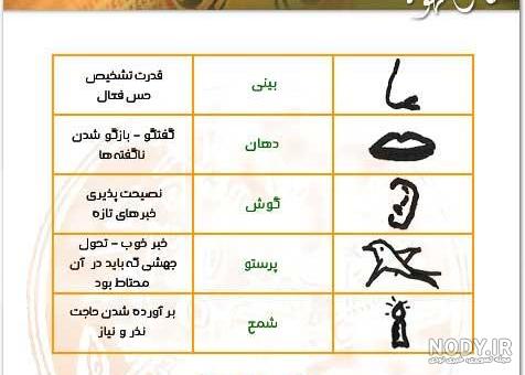 سمور در فال قهوه به چه معناست