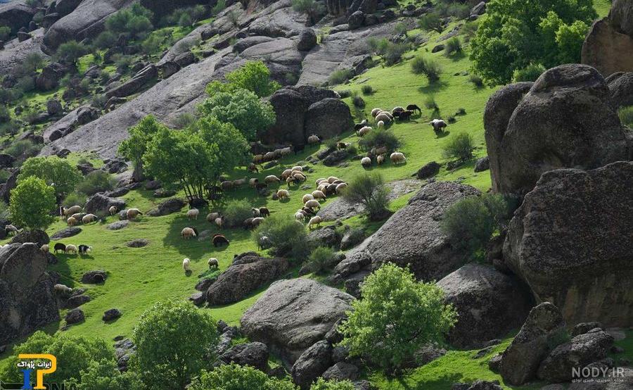 سوغات شهرستان دورود سوغات شهرستان دورود