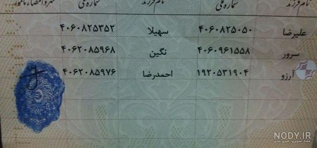 شناسنامه علیرضا بیرانوند شناسنامه علیرضا بیرانوند