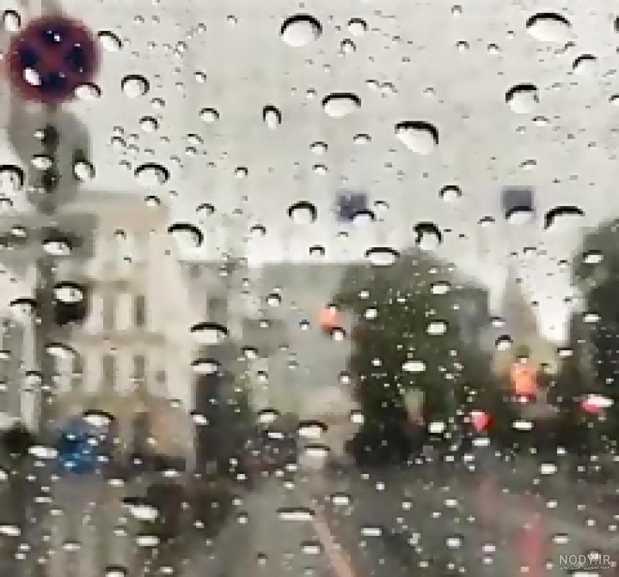 عکس بارش باران در جنگل عکس بارش باران در جنگل