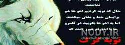 عکس بچه گرگ