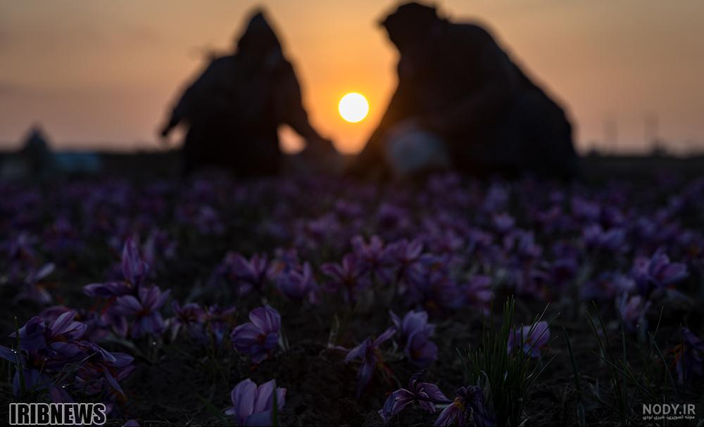 عکس طبیعت