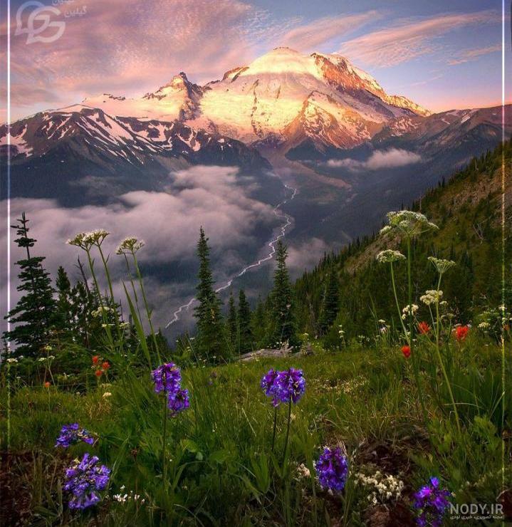 عکس منظره نوشته دار