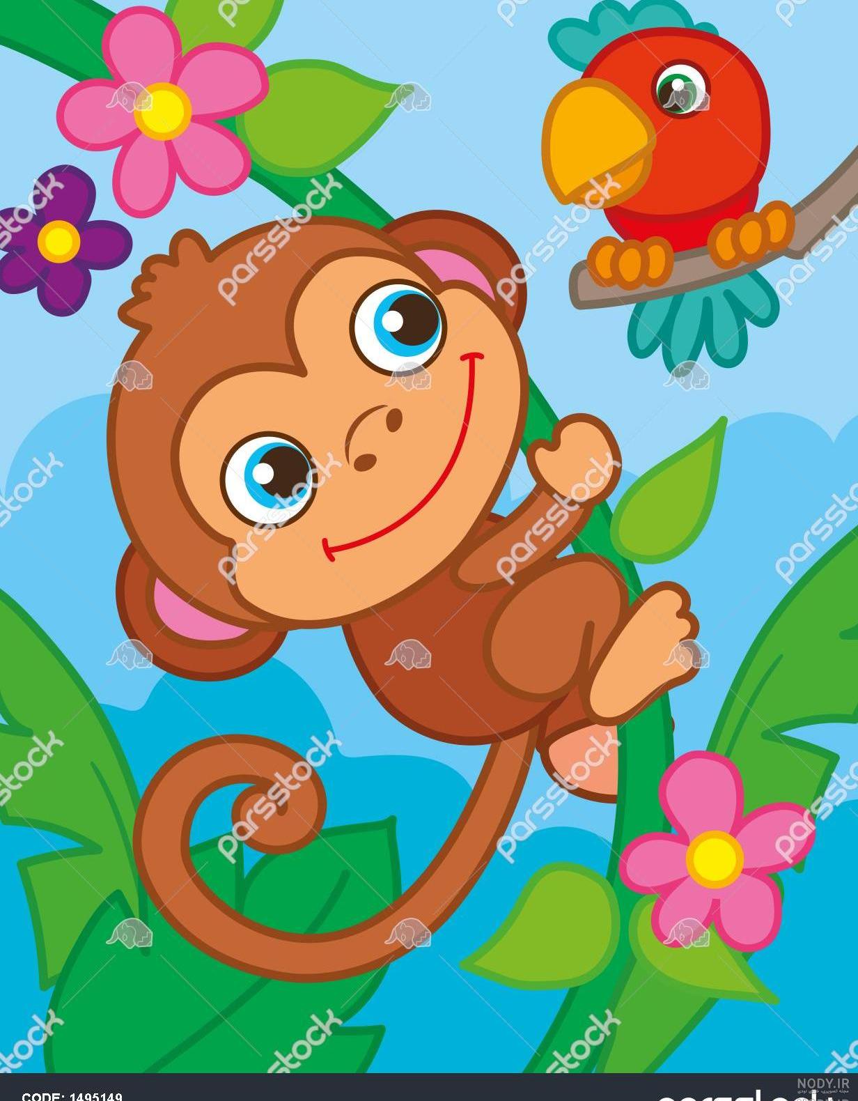 عکس میمون ماده