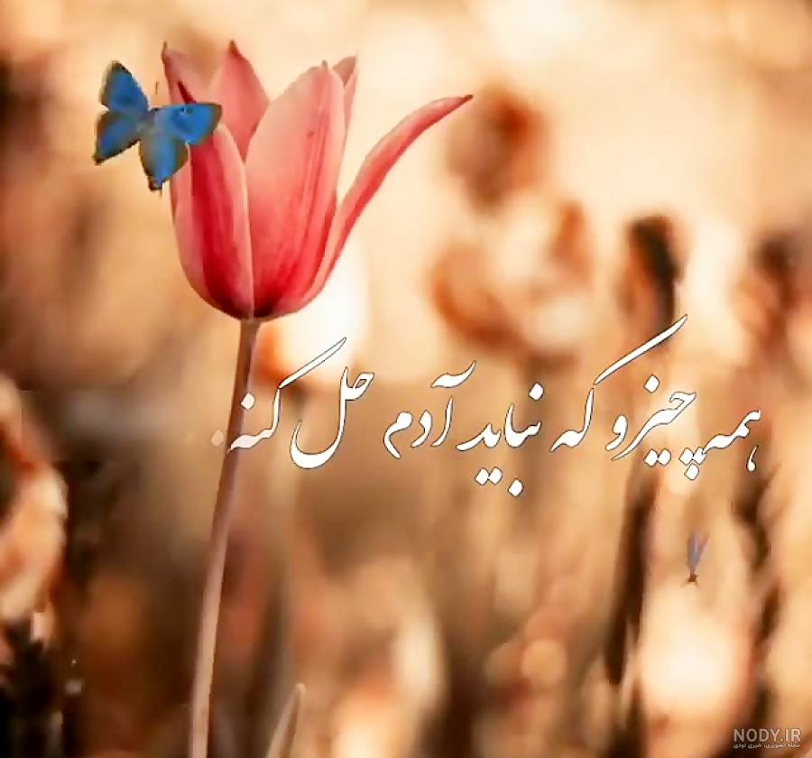 عکس نوشته خدایا شکرت بابت همه چیز