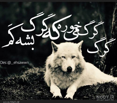 عکس نوشته گرگ درون
