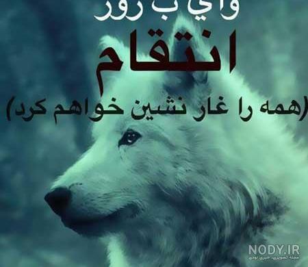 عکس گرگ با نوشته لاتی