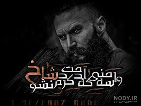 عکس گرگ وحشی سیاه