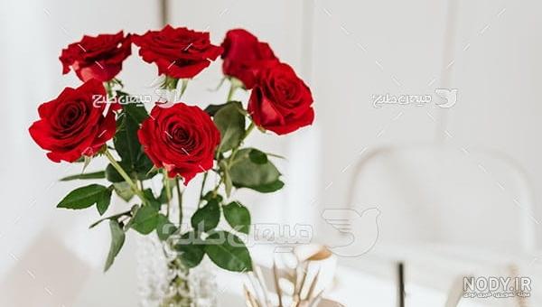 عکس گل رز قرمز عکس گل رز قرمز