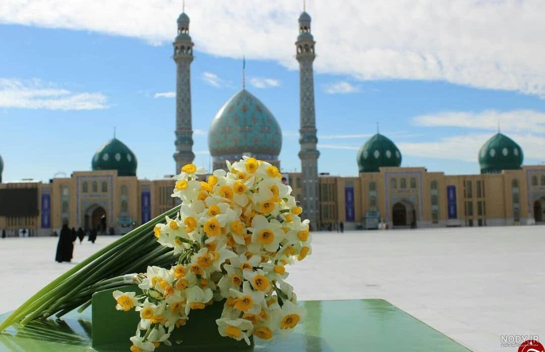 عکس گل نرگس برای پروفایل واتساپ عکس گل نرگس برای پروفایل واتساپ
