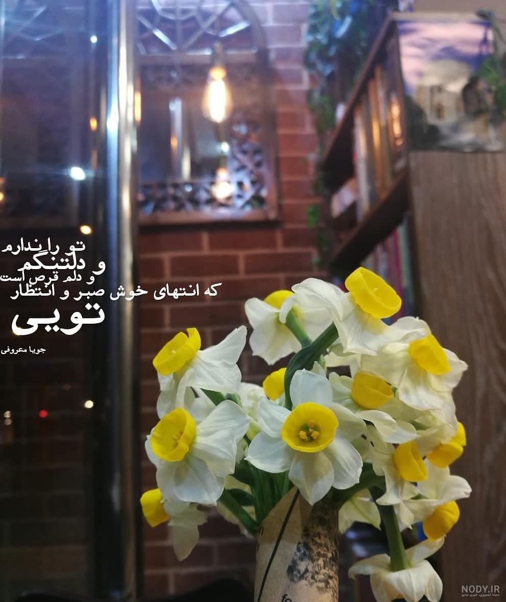 عکس گل نرگس برای پروفایل واتساپ عکس گل نرگس برای پروفایل واتساپ