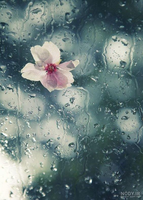 عکسهای باران روی شیشه عکسهای باران روی شیشه