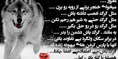 فیلم گرگ