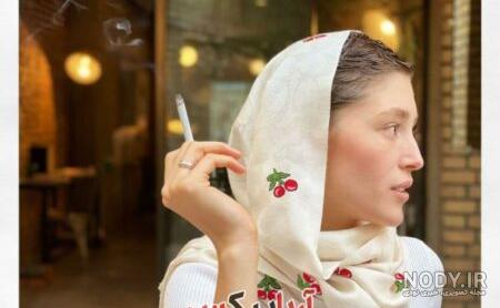 فیلمهای فرشته حسینی