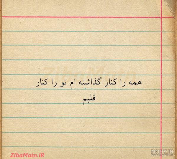 مهدی سلطانی و همسرش لعیا زنگنه مهدی سلطانی و همسرش لعیا زنگنه