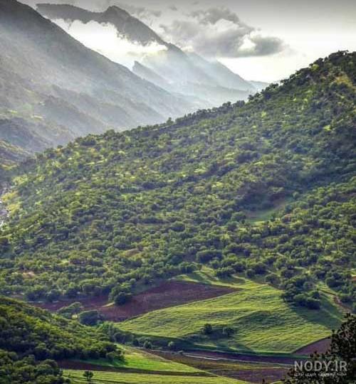 نقشه جنگل های ایران نقشه جنگل های ایران