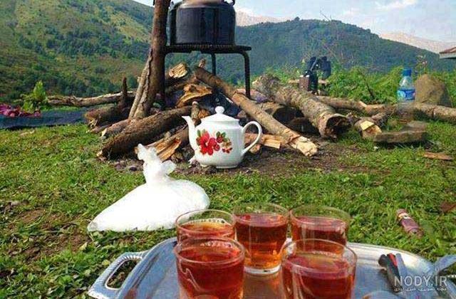 چای خارجی دیجی کالا