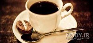 گربه در فال قهوه