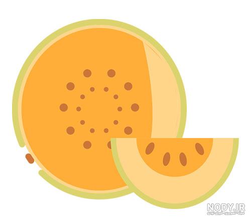 عکس انواع خربزه