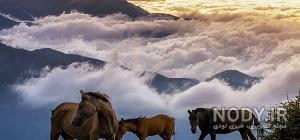 نقشه فیلبند نقشه فیلبند