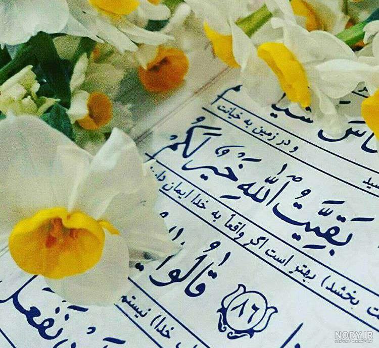 عکس نوشته گل نرگس امام زمان - عکس نودی