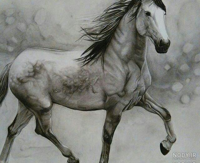 آموزش نقاشی اسب در حال دویدن آموزش نقاشی اسب در حال دویدن