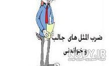 امثال عربی امثال عربی