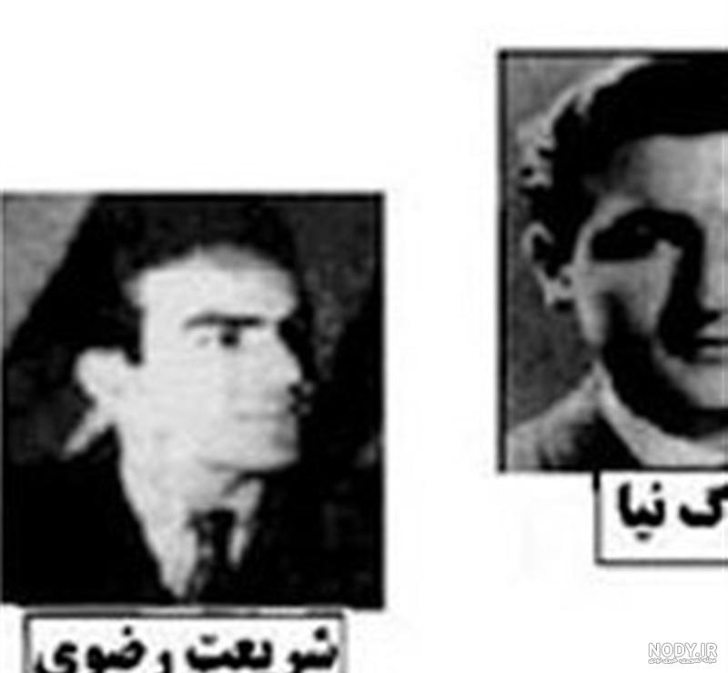 بیوگرافی مونا شریعتی