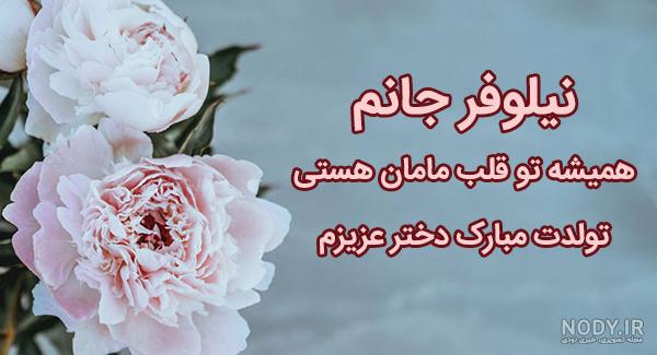 تولدت مبارک شکوفه جان تولدت مبارک شکوفه جان