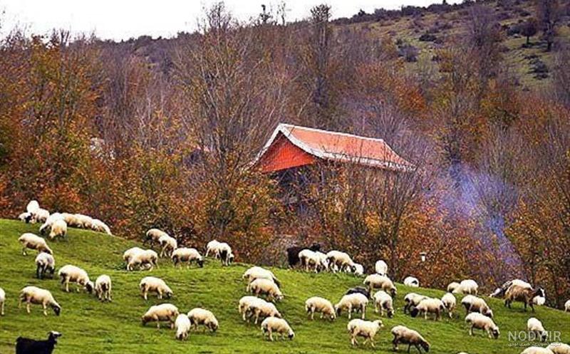 جاهای دیدنی ماسال در بهار جاهای دیدنی ماسال در بهار