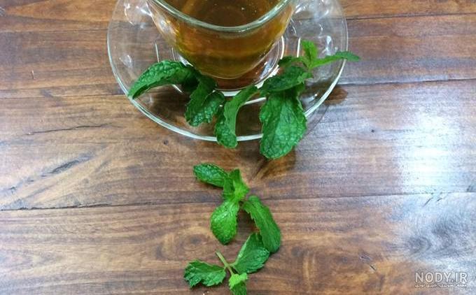 خرید چای شاهواره خرید چای شاهواره