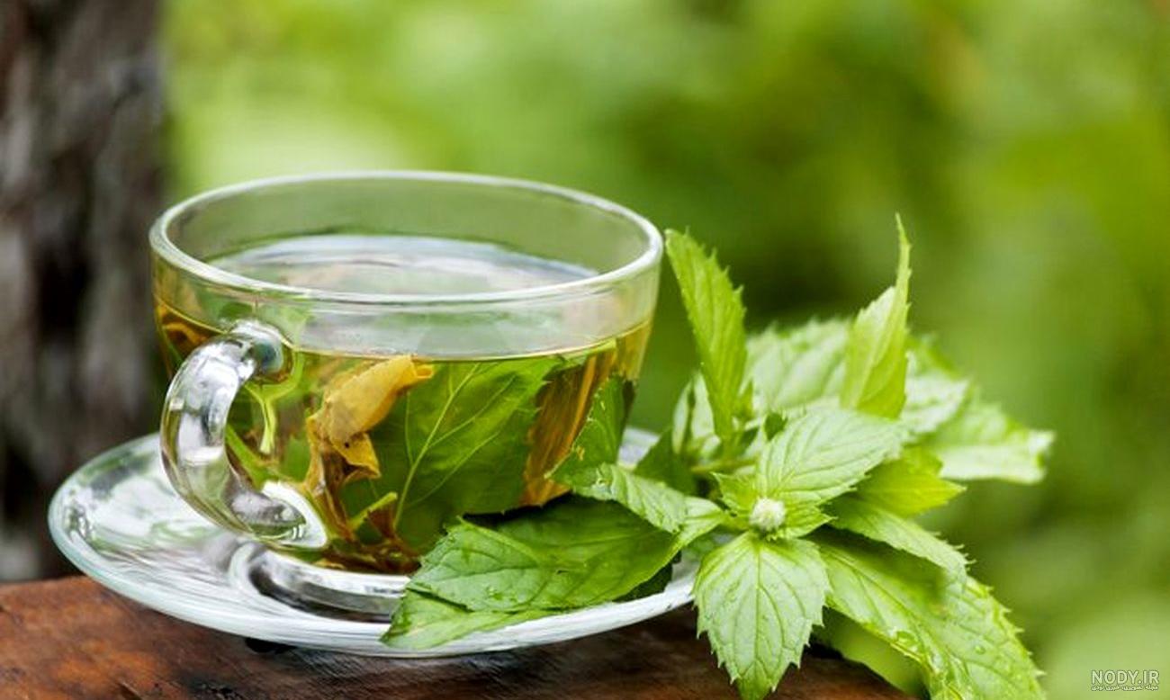 خواص چای نعناع برای موهای زائد خواص چای نعناع برای موهای زائد