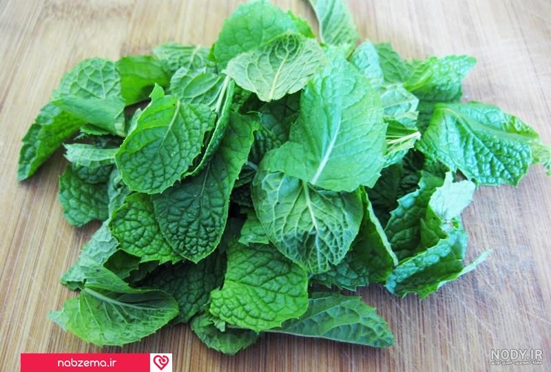 خواص چای نعناع نی نی سایت خواص چای نعناع نی نی سایت