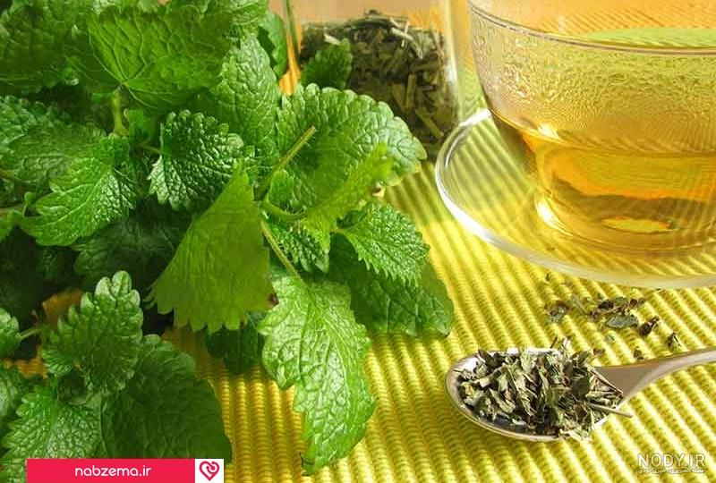 دمنوش نعناع گلستان دمنوش نعناع گلستان