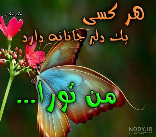 دوبیتی در مورد پروانه دوبیتی در مورد پروانه