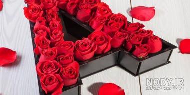زیباترین عکس گل رز زرد زیباترین عکس گل رز زرد