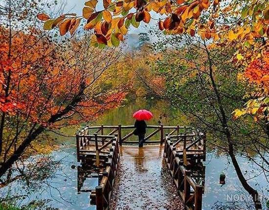 زیباترین عکسهای طبیعت زیباترین عکسهای طبیعت
