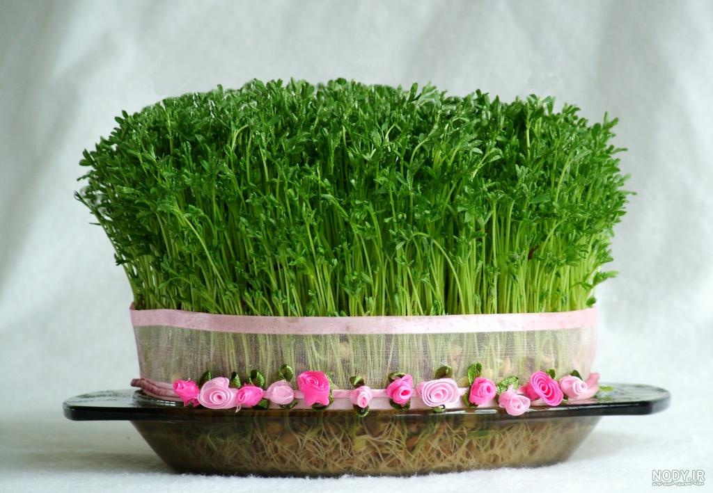 سال ۱۴۰۱ سال چه رنگی است سال ۱۴۰۱ سال چه رنگی است
