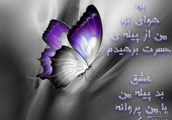 شعر در مورد پروانه و شمع شعر در مورد پروانه و شمع