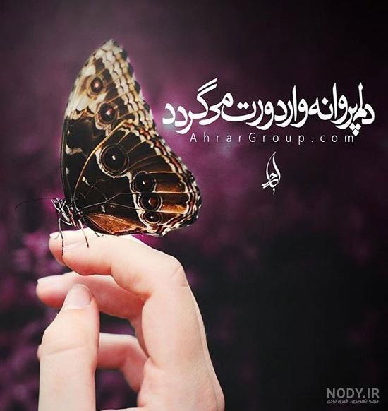 شعر در مورد پروانه و پیله شعر در مورد پروانه و پیله