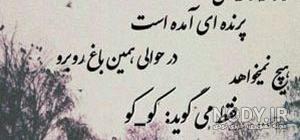 شعر نوشته غمگین شعر نوشته غمگین