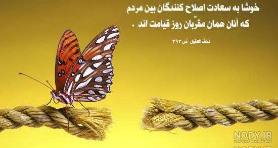 شعر پروانه باش شعر پروانه باش
