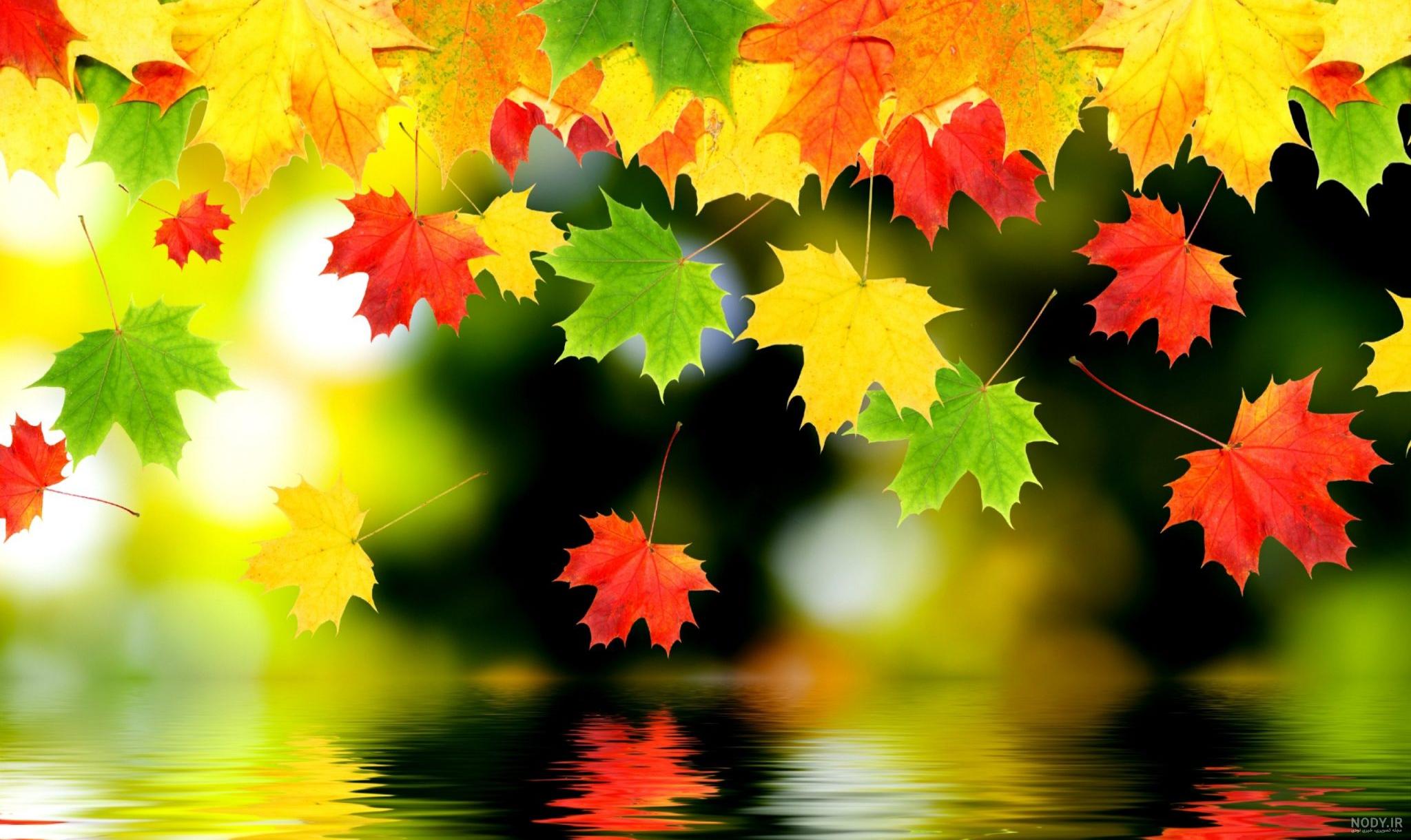 عکس از منظره ی پاییزی