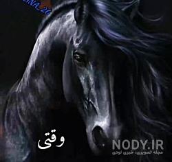 عکس اسب وحشی ایران عکس اسب وحشی ایران