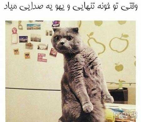عکس خنده دار زیاد عکس خنده دار زیاد