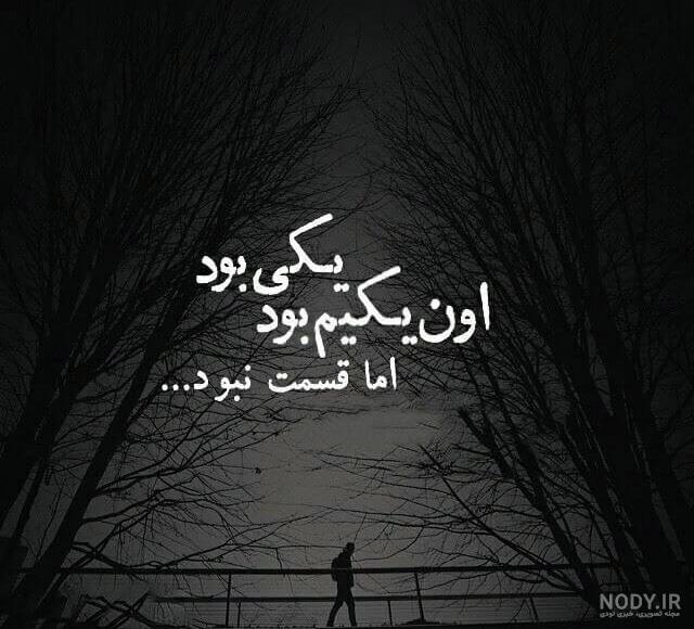 عکس سیاه سفید شاخ عکس سیاه سفید شاخ