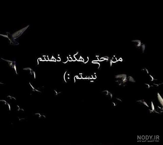 عکس سیاه سفید شاخ اینستا عکس سیاه سفید شاخ اینستا
