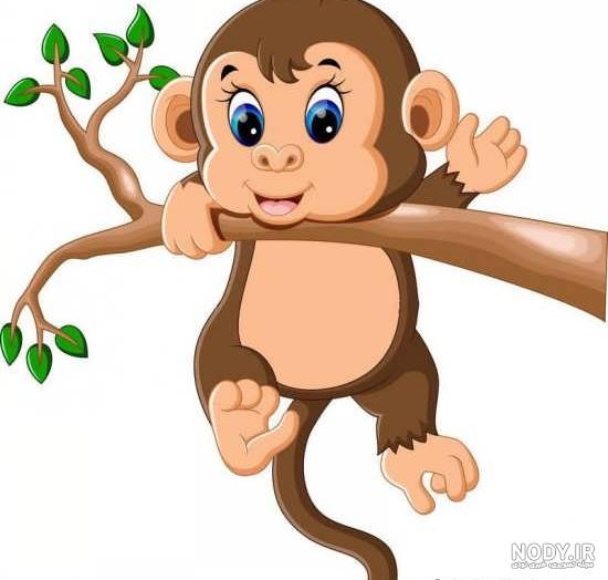 عکس میمون ترسناک
