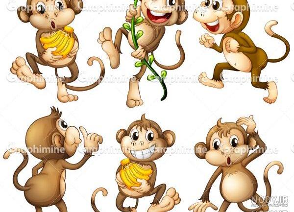 عکس میمون خنده دار کارتونی